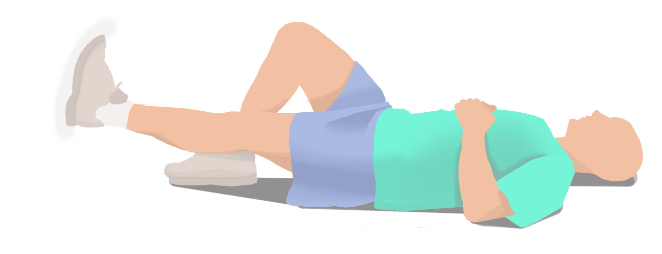 Straight-Leg Raises Demonstration